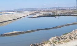 Çevrecilerden Sert Tepki: "Bu Bir Skandaldır!"