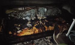 Çıkan Yangında Daire Kullanılamaz Hale Geldi