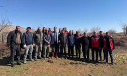 Gercüş Bağcılığında Yeni Arayış: “Birlikte Üretim, Daha Yüksek Verim”