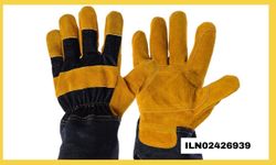 ELDİVEN SATIN ALINACAKTIR