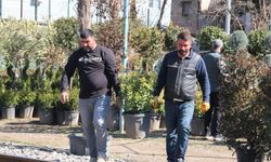 İlkbahar mevsimiyle birlikte meyve fidanı dikim sezonu başladı