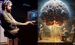 İnsan beynini anlamaya bir adım daha