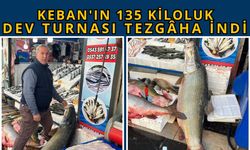Keban'ın 135 Kiloluk Dev Turnası Tezgâha İndi