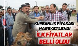 Kurbanlık Piyasası Hareketlendi: İlk Fiyatlar Belli Oldu