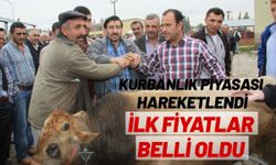 Kurbanlık Piyasası Hareketlendi: İlk Fiyatlar Belli Oldu