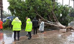 Meteorolojiden kuvvetli yağış ve fırtına uyarısı