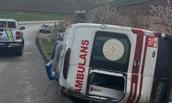 Siirt'te ambulans devrildi: Bir yaralı