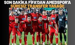 Son Dakika FİFA’dan Amedspor’a Süresiz Transfer Yasağı!