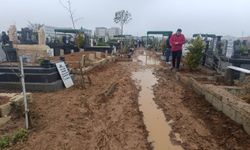 Viranşehir'de mezarlıkların çamur altında kalmasına tepki