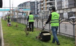 Yeşil Alanlarda Çim Biçme Mesaisi Başladı