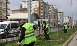 900 Ağaç Toprakla Buluştu