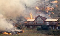 ABD’de Orman Yangınları Büyüyor: 120’den Fazla Ev Alevlere Teslim Oldu