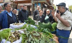 Baharla birlikte şifalı bitkiler tezgahlarda yerini aldı