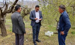 Başkan Ulutaş, doludan etkilenen kayısı üreticilerini ziyaret etti
