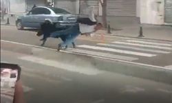 Batman Şehir Merkezinde Domuz Paniği: Yoldan Geçen Vatandaşı Yaraladı!