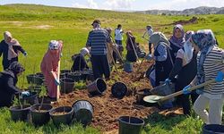 Batman Üniversitesinde 10 Bin Meyve Fidanı Toprakla Buluşuyor