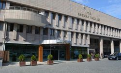 Batman Valiliğinden Açıklama: “Yaban Domuzu Etkisiz Hale Getirildi”