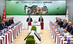 Batman Valisi Ekrem Canalp, Orman Yangınlarıyla Mücadele Zirvesine Katıldı