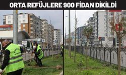 Batman’da Orta Refüjlere 900 Fidan Dikildi