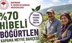 Batmanlı Üreticiye Dev Destek: %70 Hibeli Böğürtlen Bahçeleri Kuruluyor!