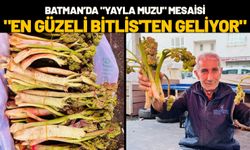 Batman’da "Yayla Muzu" Mesaisi: "En Güzeli Bitlis'ten Geliyor"