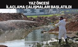 Batman’da Yaz Öncesi İlaçlama Çalışmaları Başlatıldı