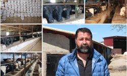 Batmanlı besicilerden uyarı: Önlem alınmazsa sektör bitecek