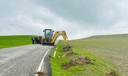 Beşiri’de 4 Bin Ağaç Toprakla Buluştu