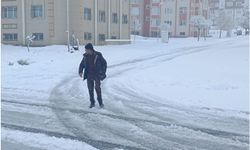 Bitlis'te mevsimin adı bahar, yaşamın adı kış