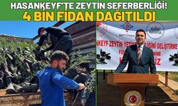 Hasankeyf’te Zeytin Seferberliği! 4 Bin Fidan Dağıtıldı