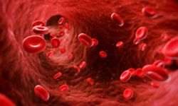 Hemofili hastalarına yönelik destekler sürüyor