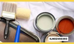 BOYA SATIN ALINACAKTIR