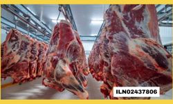 GIDA ÜRÜNLERİ SATIN ALINACAKTIR