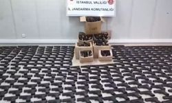 İstanbul ve Adana'da 1107 ruhsatsız tabanca ele geçirildi