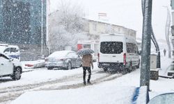 Karlıova'da nisan ayında kar