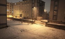 Kars'ta nisan ayının son günlerinde kar etkili oldu