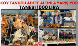 Köy Tavuğu Âdete Altınla Yarışıyor: Tanesi 1000 Lira