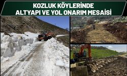 Kozluk Köylerinde Altyapı ve Yol Onarım Mesaisi