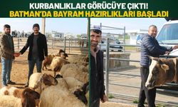 Kurbanlıklar Görücüye Çıktı! Batman’da Bayram Hazırlıkları Başladı