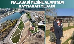 Malabadi Mesire Alanı’nda Kaymakam Mesaisi