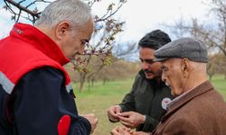 Malatya Tarım ve Orman İl Müdürü Akar: Dolu zararı için kesin tespit çalışmaları sürüyor