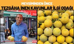 Mevsiminden Önce Tezgâha İnen Kavunlar İlgi Odağı