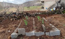 Öldürülen anne ve oğul Mardin'de yan yana defnedildi