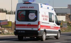 Şanlıurfa'da kamyon ile otomobil çarpıştı: 2 ölü, 1 yaralı