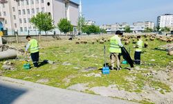 Temizlik Sırası Korik Mahallesinde