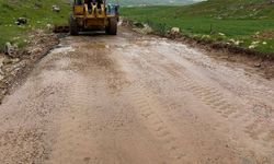 Siirt'te sel ve heyelan sonrası kapanan 70 köy yolu ulaşıma açıldı