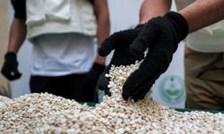 Sudan Kaptagonun Yeni Merkezi mi? Savaş, Çöküş ve Karanlık Ağlar