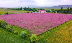 Tarım arazilerinde izinsiz yapılaşma yasağı yürürlüğe girdi