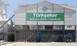 Türkşeker 525 Geçici İşçi Alımı Yapacak: Başvuru Süreci ve Şartlar Netleşti