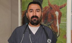 Veteriner hekimler, hak ettikleri değeri görmediklerinden şikâyetçi